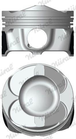 Imagine pentru produsul „PISTON -NURAL"