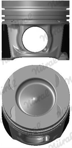 Imagine pentru produsul „PISTON -NURAL"