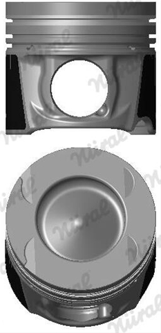 Imagine pentru produsul „PISTON -NURAL"