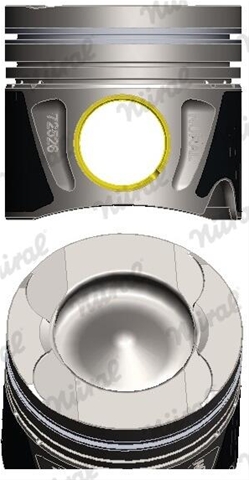 Imagine pentru produsul „PISTON -NURAL"