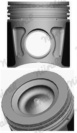 Imagine pentru produsul „PISTON -NURAL"