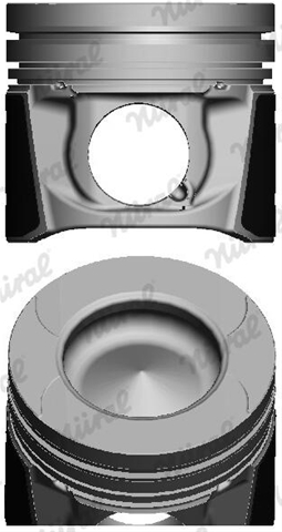 Imagine pentru produsul „PISTON -NURAL"