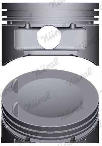 Imagine pentru produsul „PISTON -NURAL"