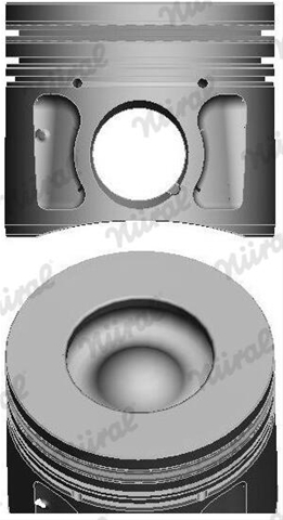 PISTON -NURAL