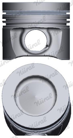 Imagine pentru produsul „PISTON -NURAL"