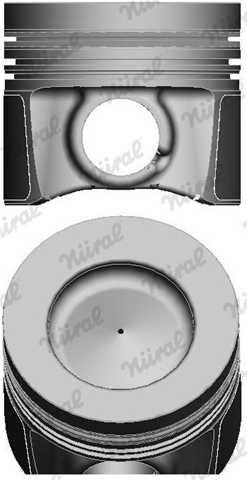 Imagine pentru produsul „PISTON -NURAL"