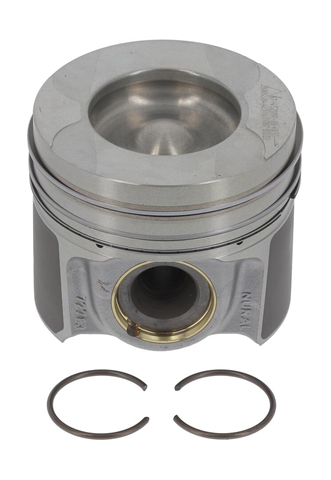 PISTON ECHIPAT -NURAL - CSNBB