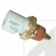 SENZOR,TEMPERATURA LICHID DE RACIRE
