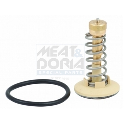 TERMOSTAT,LICHID RACIRE