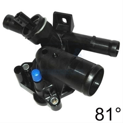 TERMOSTAT,LICHID RACIRE