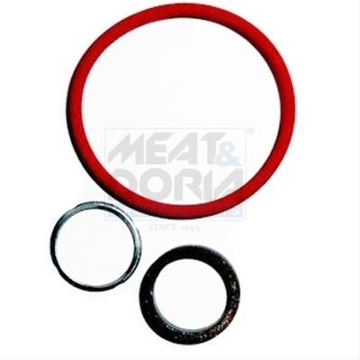 SET REPARATIE INJUECTOR MEAT&DORIA