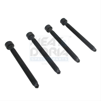 ADJUSTMENT SCREW, INJECTOR PUMP (KIT 4 PCS.) MEAT&DORIA