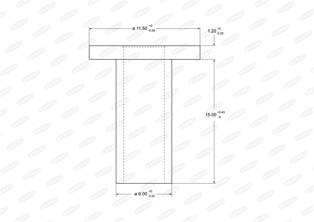 Imagine pentru produsul „SET NITURI 6X15"