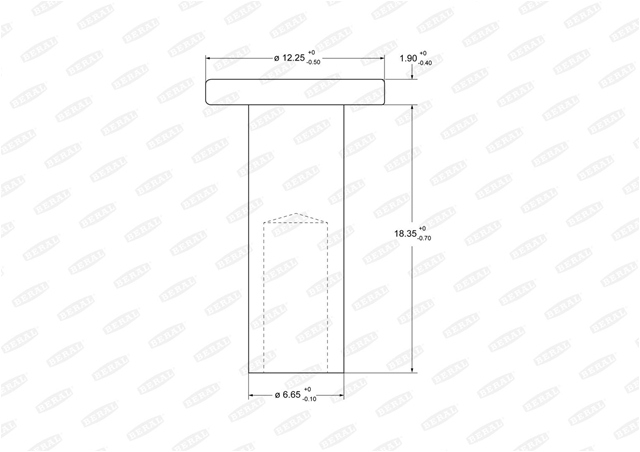 Imagine pentru produsul „SET NITURI 6.65X18"