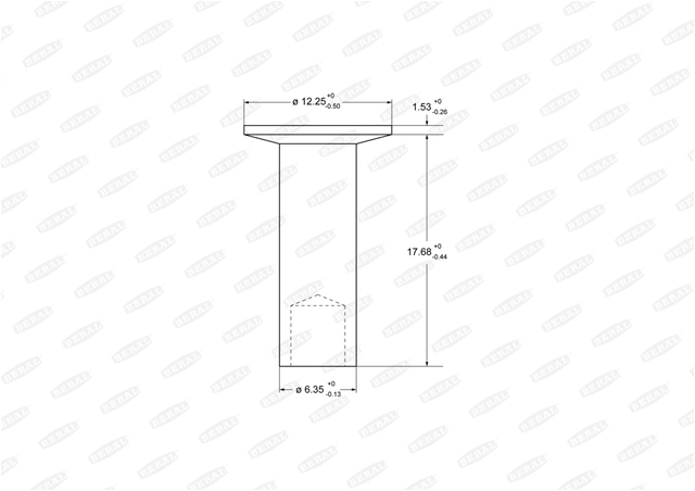Imagine pentru produsul „SET NITURI 6.35X17.5"