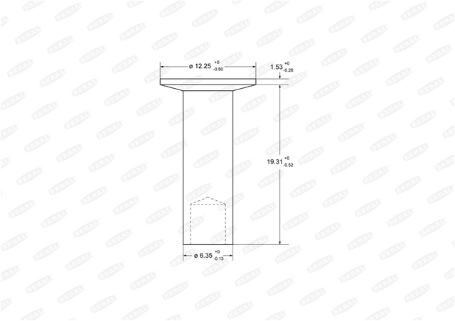 Imagine pentru produsul „SET NITURI 6.35X19.1"