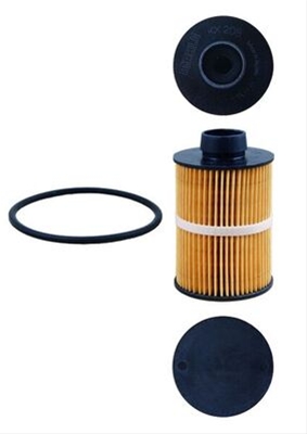 FILTRU COMBUSTIBIL