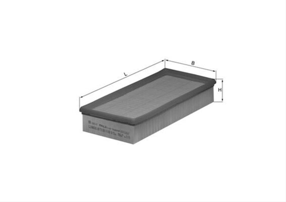 Imagine pentru produsul „FILTRU AER"