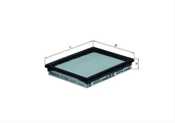 FILTRU AER