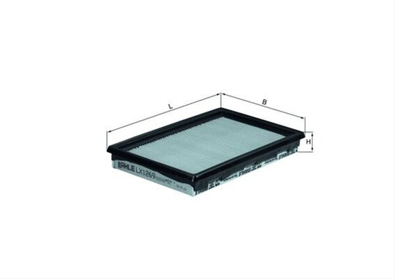 Imagine pentru produsul „FILTRU AER"
