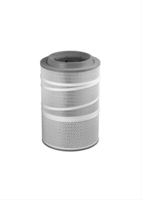 FILTRU AER