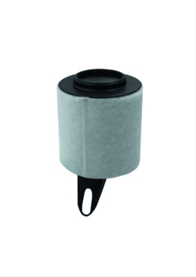 FILTRU AER