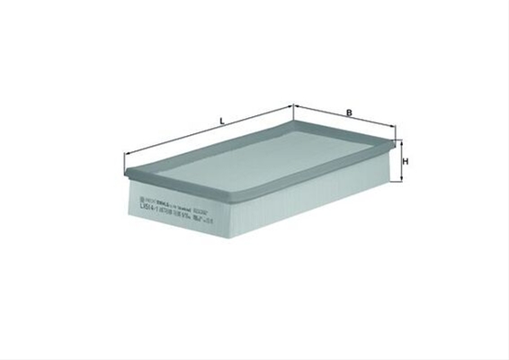 Imagine pentru produsul „FILTRU AER"