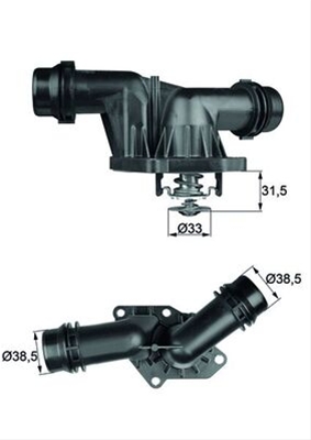 TERMOSTAT,LICHID RACIRE