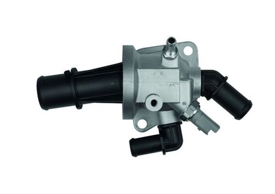 TERMOSTAT,LICHID RACIRE