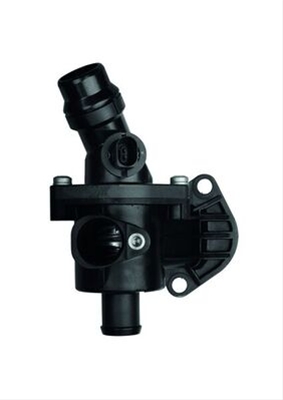 TERMOSTAT,LICHID RACIRE