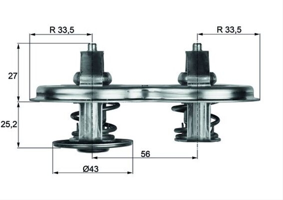 Imagine pentru produsul „TERMOSTAT,LICHID RACIRE"