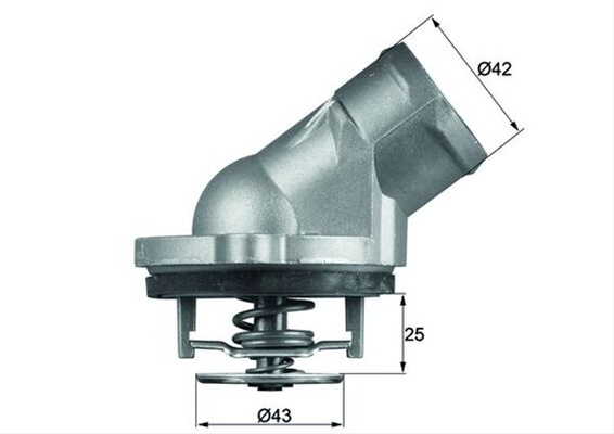 Imagine pentru produsul „TERMOSTAT,LICHID RACIRE"
