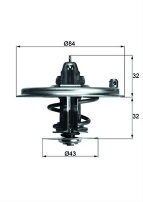 TERMOSTAT,LICHID RACIRE