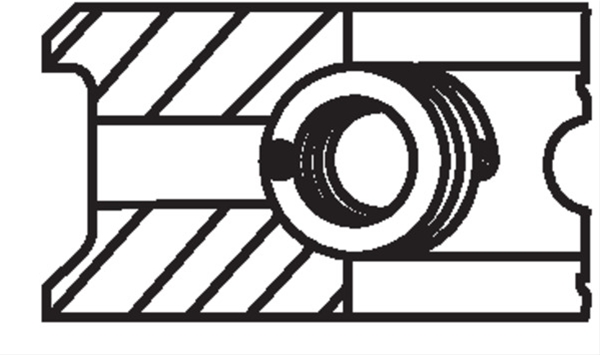 SET SEGMENTI PISTON