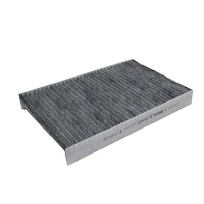 FILTRU, AER HABITACLU