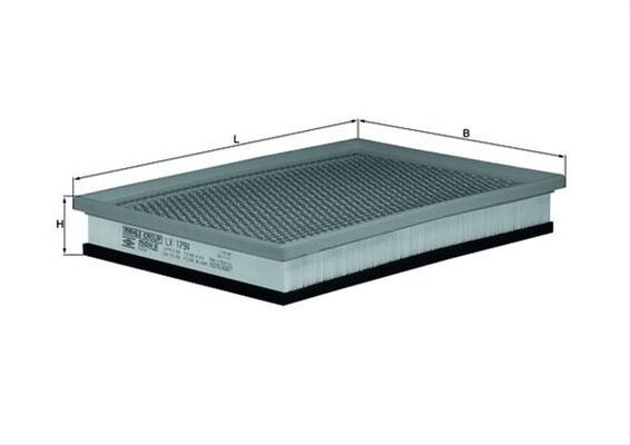 Imagine pentru produsul „FILTRU AER"