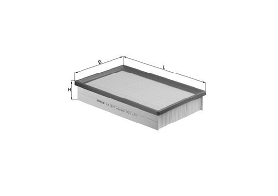 Imagine pentru produsul „FILTRU AER"