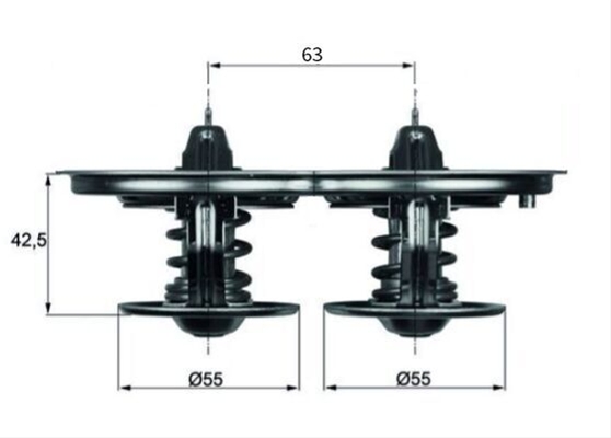 TERMOSTAT,LICHID RACIRE
