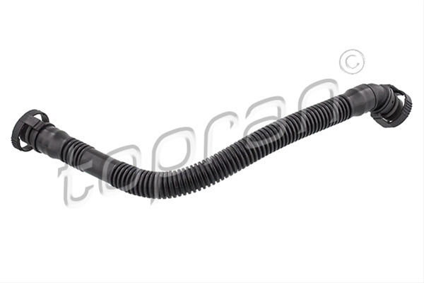 FURTUN AERISIRE CHIULASA CENBB HANS PRIES