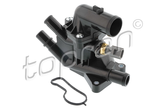 TERMOSTAT COMPLET CU CARCASA HANS PRIES