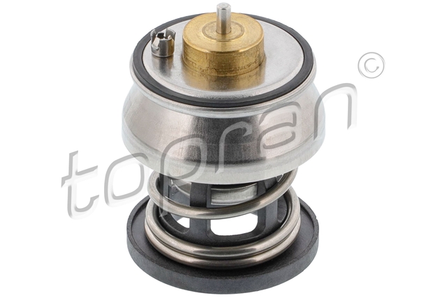 TERMOSTAT APA