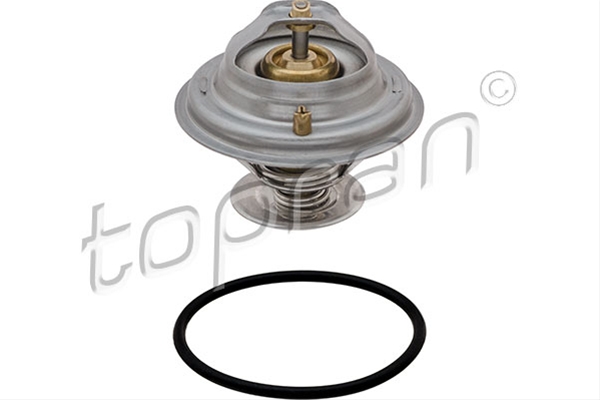 Imagine pentru produsul „TERMOSTAT,LICHID RACIRE"