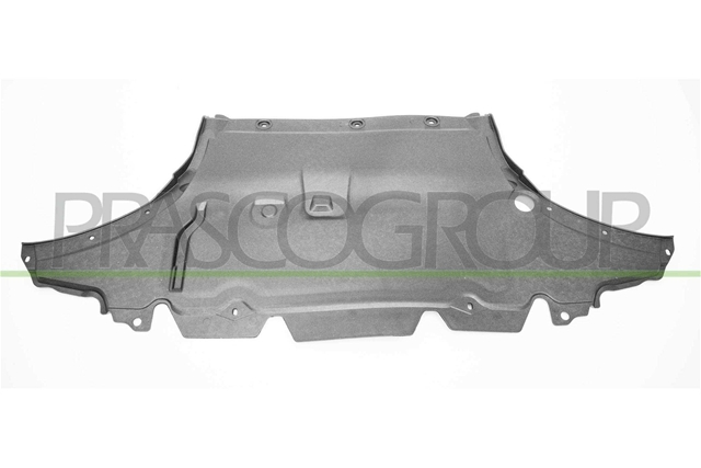 MATERIAL AMORTIZARE ZGOMOT, NISA MOTOR