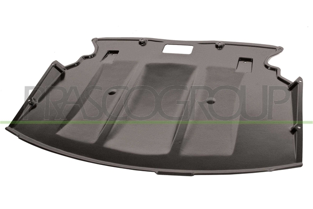 MATERIAL AMORTIZARE ZGOMOT, NISA MOTOR
