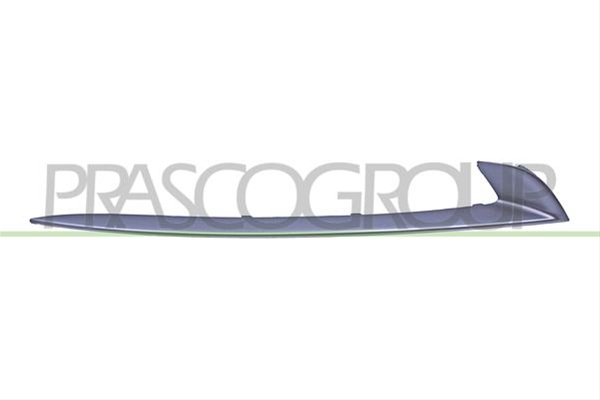ORNAMENT CROM GRILA DR F10 2013 >>