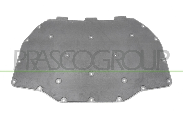 MATERIAL AMORTIZARE ZGOMOT, NISA MOTOR - PRASCO CSNBB
