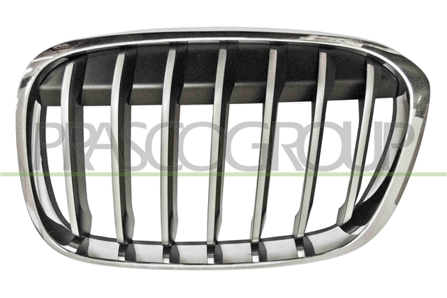 GRILA RADIATOR - PRASCO CSNBB