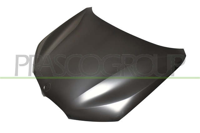 BONNET BMW  X1  F48  MOD. 08/15  09/19