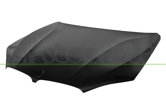 Imagine pentru produsul „CAPOTA F15 ALUMINIU"