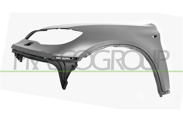 Imagine pentru produsul „GR FATA ST FENDERWITH SIDE REPEATER HOLESPLASTIC BMW  X6  E71  01/08  06/14"